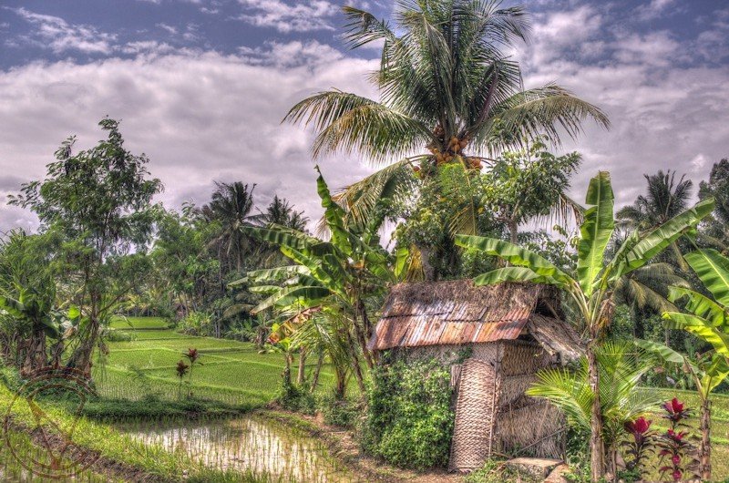 Ubud